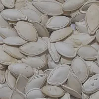 کدو‌خام‌درجه‌یک