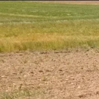 زمین بهر جاده کرمانشاه