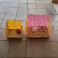 قفس پرنده