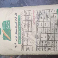 بذر ذرت|خدمات باغبانی و درختکاری|تاکستان, |دیوار