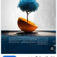 دو عدد بلیت تئاتر قلب نارنگی