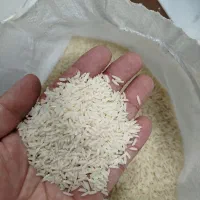 برنج هاشمی درجه یک