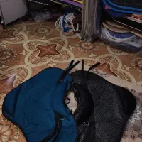 زین راحتی ترمز دار اعلا