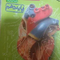 کتاب تست زیست همراه ۱جلد کتاب تست رایگان|کتاب و مجله آموزشی|مسجد سلیمان, |دیوار