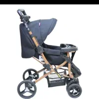 کالسکه دلیجان مدل بنیتا|کالسکه و لوازم جانبی|لنجان, |دیوار