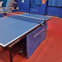 اموزش حرفه ای تنیس روی میز