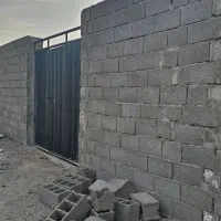 باغ و باغچه درختان بازده دیوار شده ۲۵۰ متر|فروش زمین و ملک کلنگی|وحیدیه, |دیوار