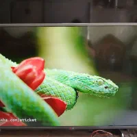 تلویزیون ۴۳ ال جی ال ای دی|تلویزیون و پروژکتور|قزوین, |دیوار