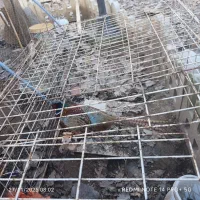 خروس امریکایی|حیوانات مزرعه|کومله, |دیوار