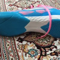 کفش فوتسال اصل F50|کیف، کفش، کمربند|اردبیل, |دیوار