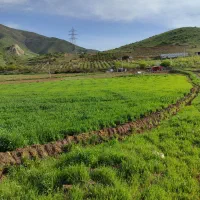 زمین کشاورزی فروشی سد گاوشان 12هزار متر