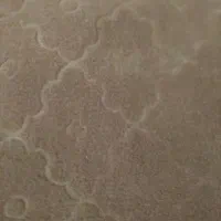 دوقطعه موکت پازلی 12متری .متری130
