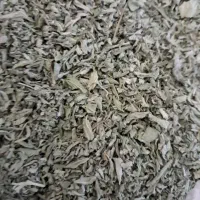 پونه