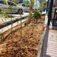 خاک باغچه  تعویض خاک باغچه  ماسه  بادی رودخانه ای|خدمات باغبانی و درختکاری|شیراز, زرهی|دیوار