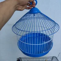 قفس کوچیک