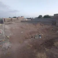 ۱۰ قصب