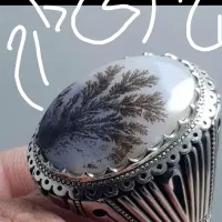 ظرف و انگشتر نقره