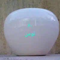 فروش گلدان سفالی و سرامیکی|گل و گیاه طبیعی|بجنورد, |دیوار