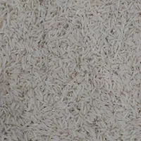 برنج هاشمی خالص