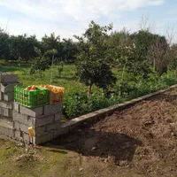 فروش نقدواقساط زمین خانه سرا۴۶۸ متری|فروش زمین و ملک کلنگی|قائمشهر, |دیوار