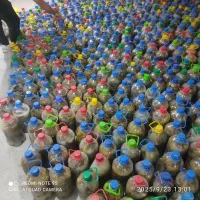 خیارشور|خوردنی و آشامیدنی|رباطکریم, رباطکریم|دیوار