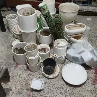 گلدان