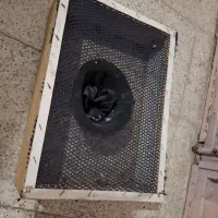 تعدادی قفس چوبی تله|لوازم جانبی حیوانات|رباط‌کریم, رباط‌کریم|دیوار