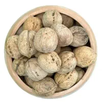 گردو مرغوب در ملکشاهی