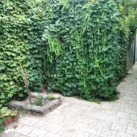 بناتمام کار|خدمات پیشه و مهارت|فریمان, |دیوار