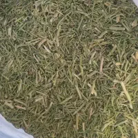 کاه خار