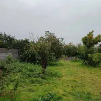 زمین باغی با اقساط یک ساله بدون بهره