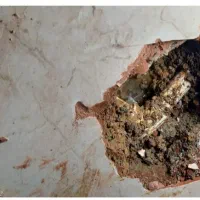 تشخیص ترکیدگی لوله رفع نم ونشتی رطوبت زردی چکه