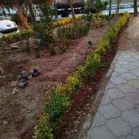 خدمات باغبانی سیار گل کاری سم پاشی تعویض خاک گلدان|خدمات باغبانی و درختکاری|تهران, شهرک غرب|دیوار