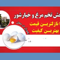 پخش تخم مرغ بدون بو و خیارشور در شیراز|خوردنی و آشامیدنی|شیراز, جمهوری|دیوار