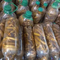 خیار شور سراب ترد و خوشمزه