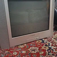 تلوزیون