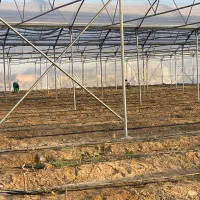 فروش گلخانه همراه با زمین و آب|اجارهٔ دفتر صنعتی، کشاورزی، تجاری|سراوان, |دیوار