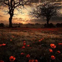 طلا دست دوم