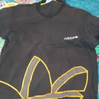 لباس های تاناکورا|لباس|لنگرود, |دیوار