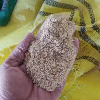 خوراک دام|لوازم جانبی حیوانات|الیگودرز, |دیوار