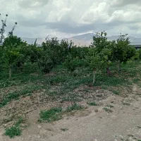 فروش زمین،باغ،باغچه ۴۰۰ تا۱۰۰۰ متر زان،آبسرد