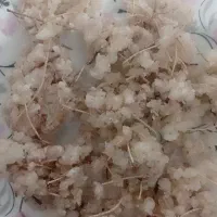 فروش گز  شهداد