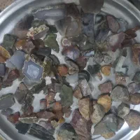 نمونه های شجر