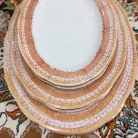 دپتا دیس برنجی دوتا دیس مرغی دپتا دیس کبابی