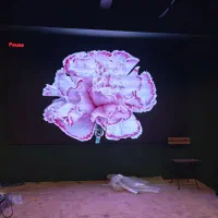 ویدئو وال و نمایشگر شهری|تلویزیون و پروژکتور|کیش, |دیوار