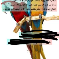 پرنده سرای ققنوس