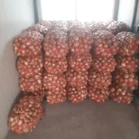 پیاز|عمده‌فروشی|زنجانرود, |دیوار