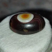 نگین باباقوری سرخ طوق دار