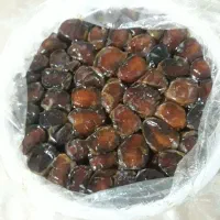 خرما برحی تازه و خوشمزه