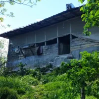 زمین بزرگ لاهیجان با خانه و باغ ویو ابدی